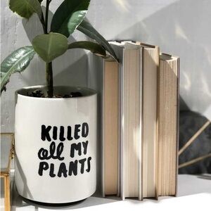 West Elm Planter